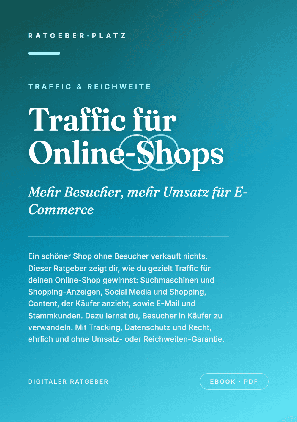 Cover: Traffic für Online-Shops